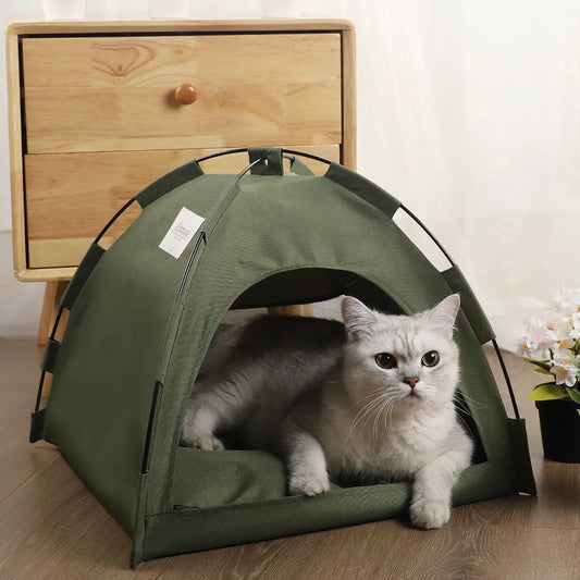 KENT - Our Cats & Dogs Tent