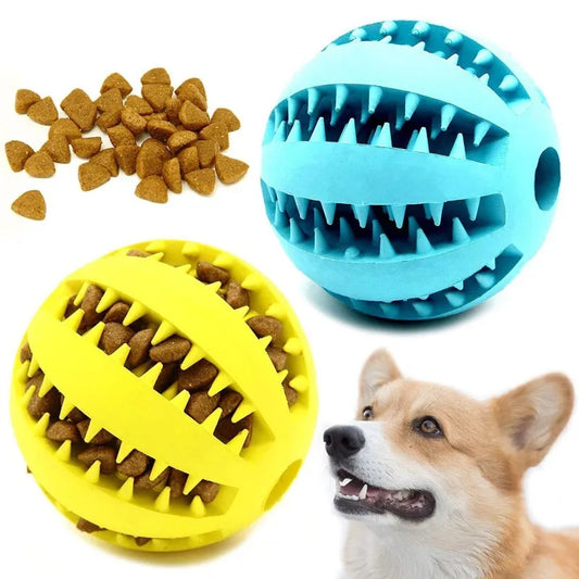 MIKE - Our 2-in-1 Pet Ball